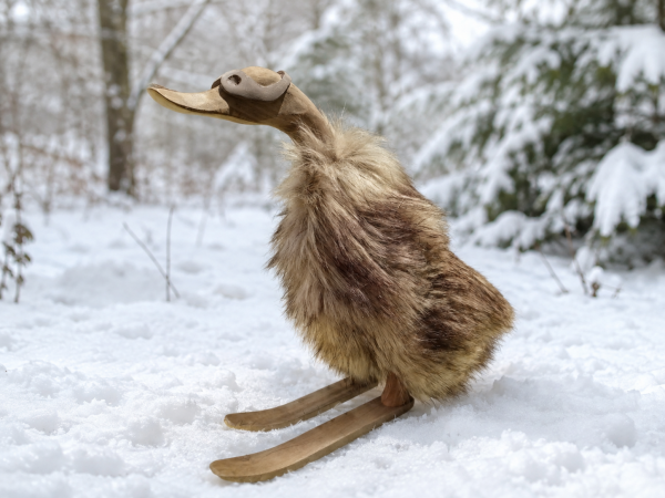 Ente Ski Fell