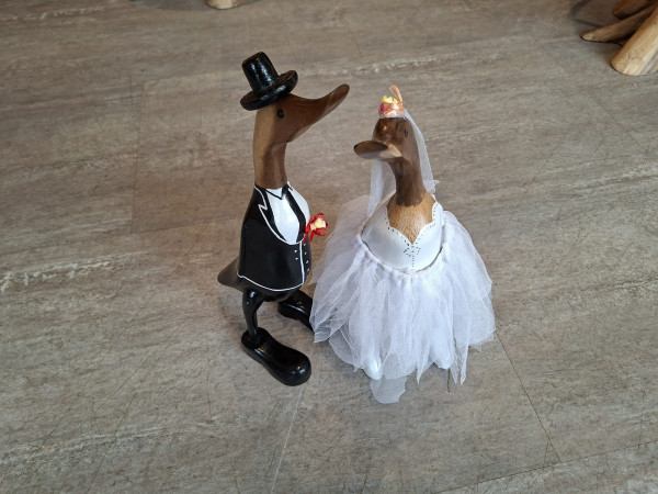 Braut Ente